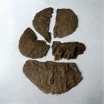 بخور رقائق الجار الهندي