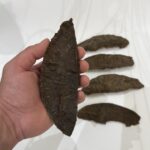 بخور جار (هاف مون)