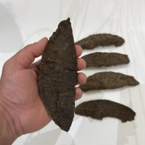 بخور جار (هاف مون)